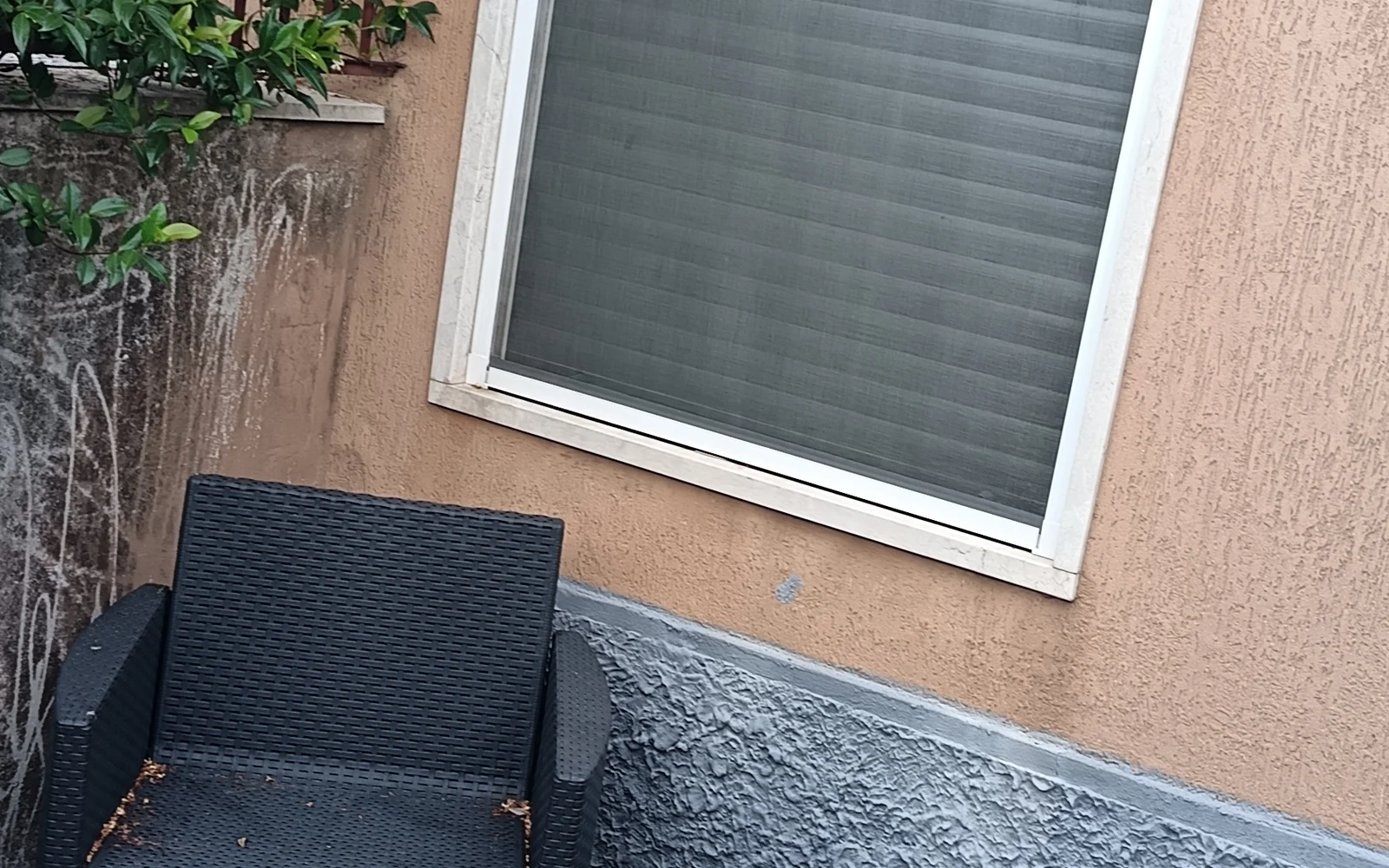 Casa Mia, Verona